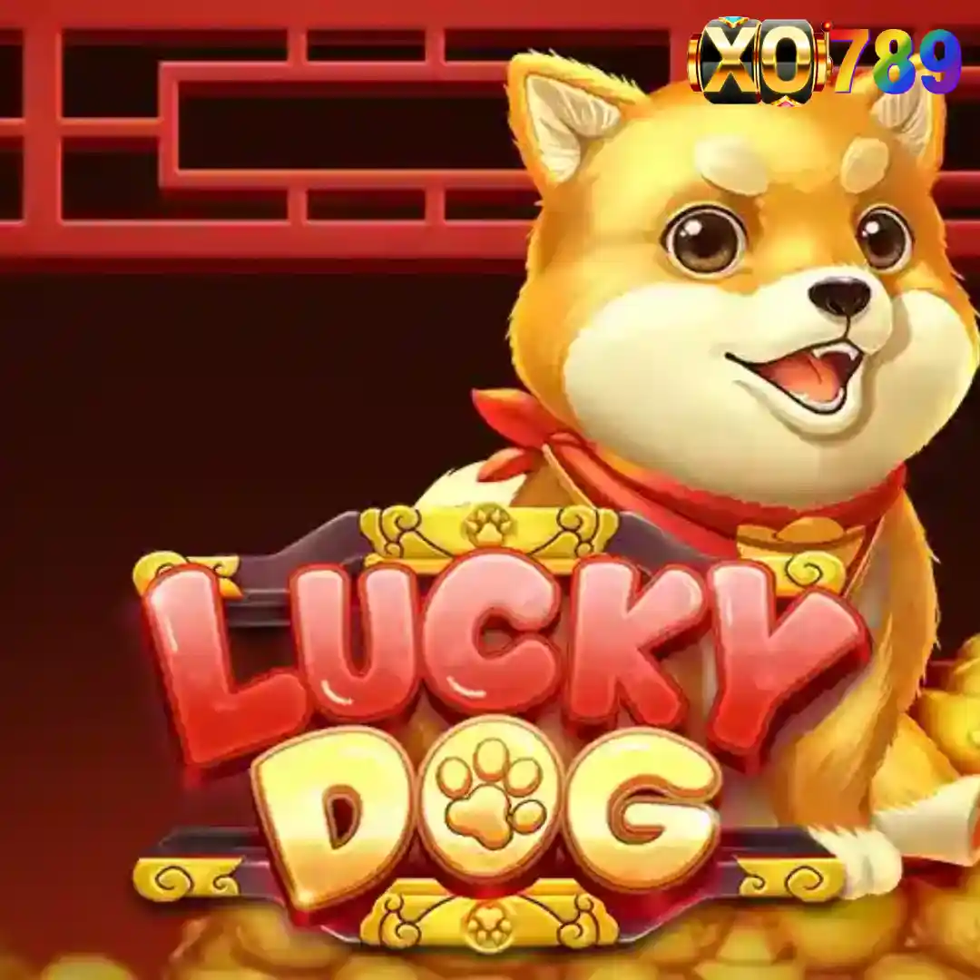 Lucky Dog ลูกสุนัขนำโชค
